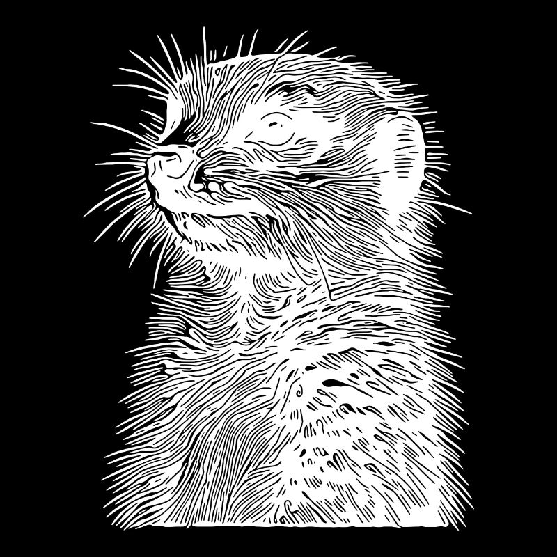 Süsses kleines Erdmännchen mit Querstreife