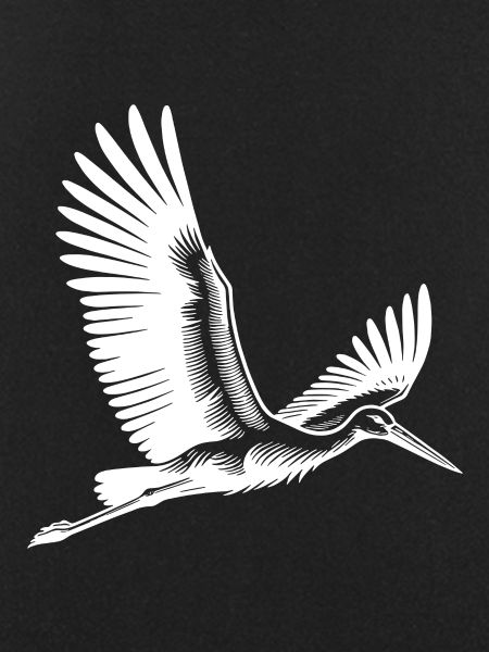 Flying Stork