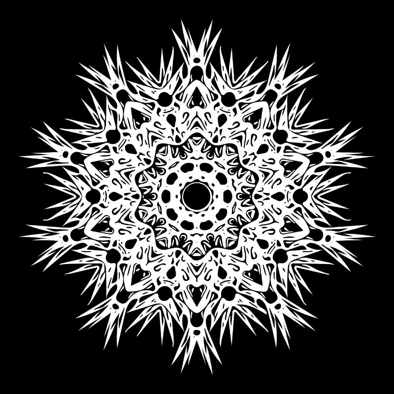 Lignes géométriques forme mandala