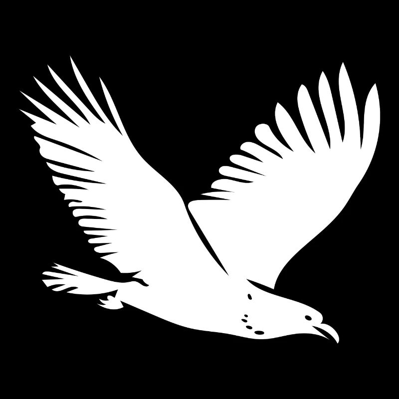 Bird in flight