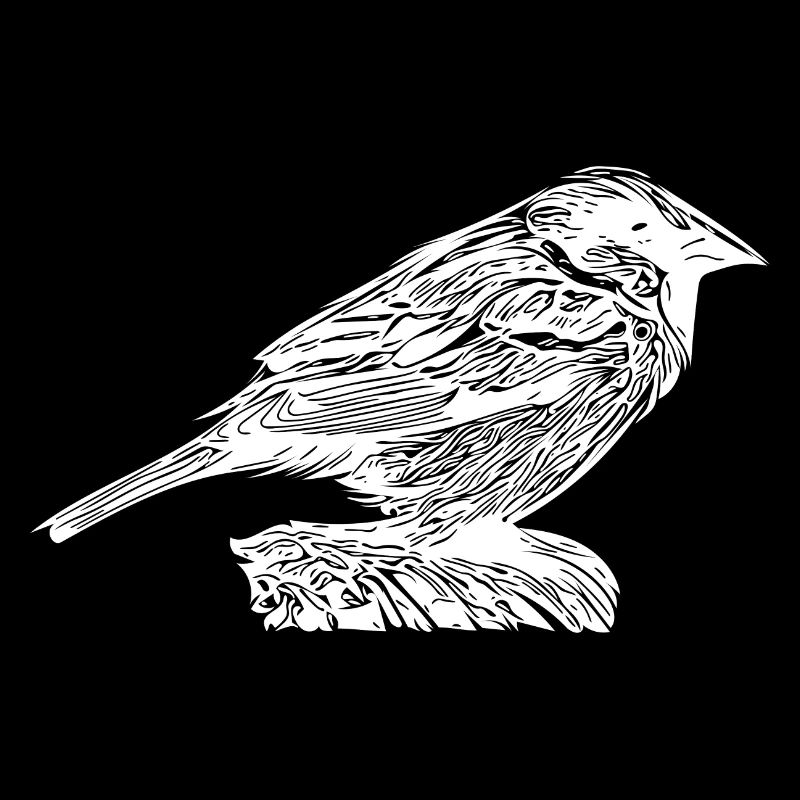 Small cute house sparrow on a branch