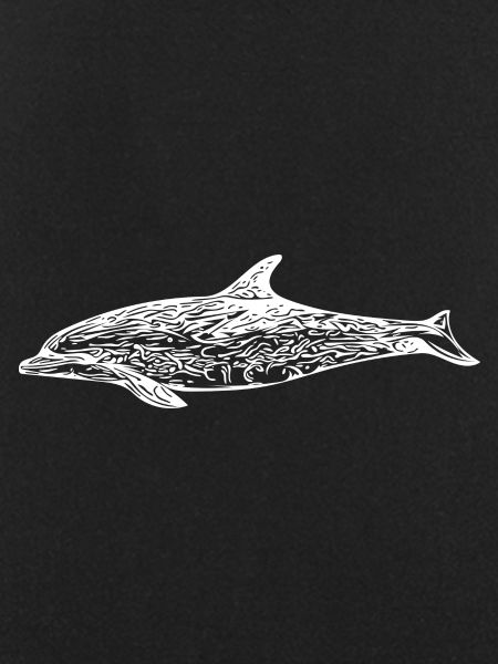 Dolphin