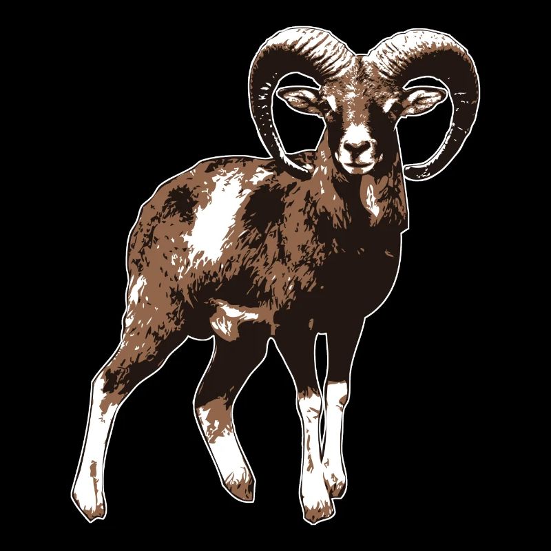 mouflon