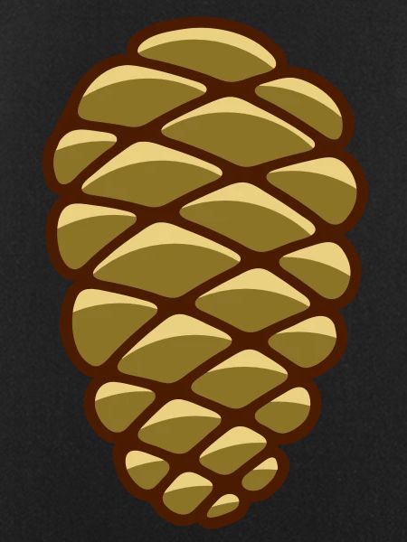 pine cone
