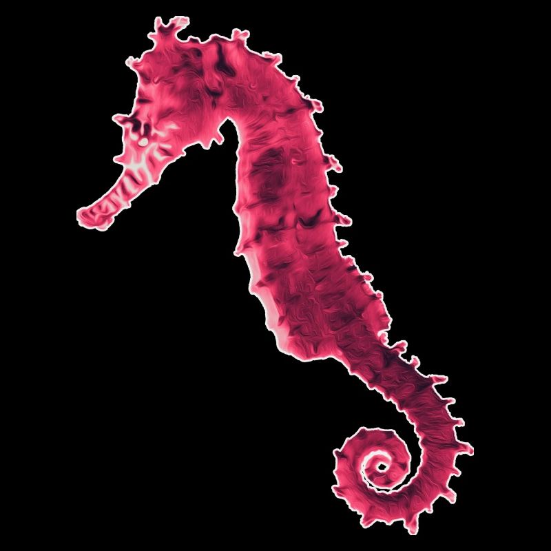 Hippocampe