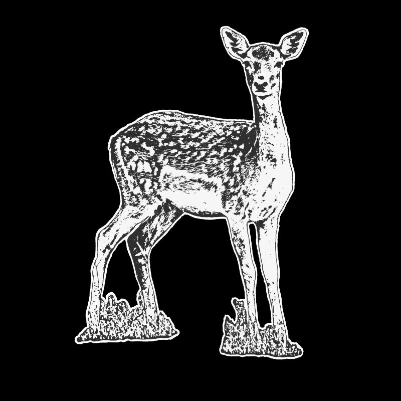 Cerf noir et blanc