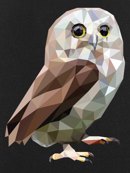 owl