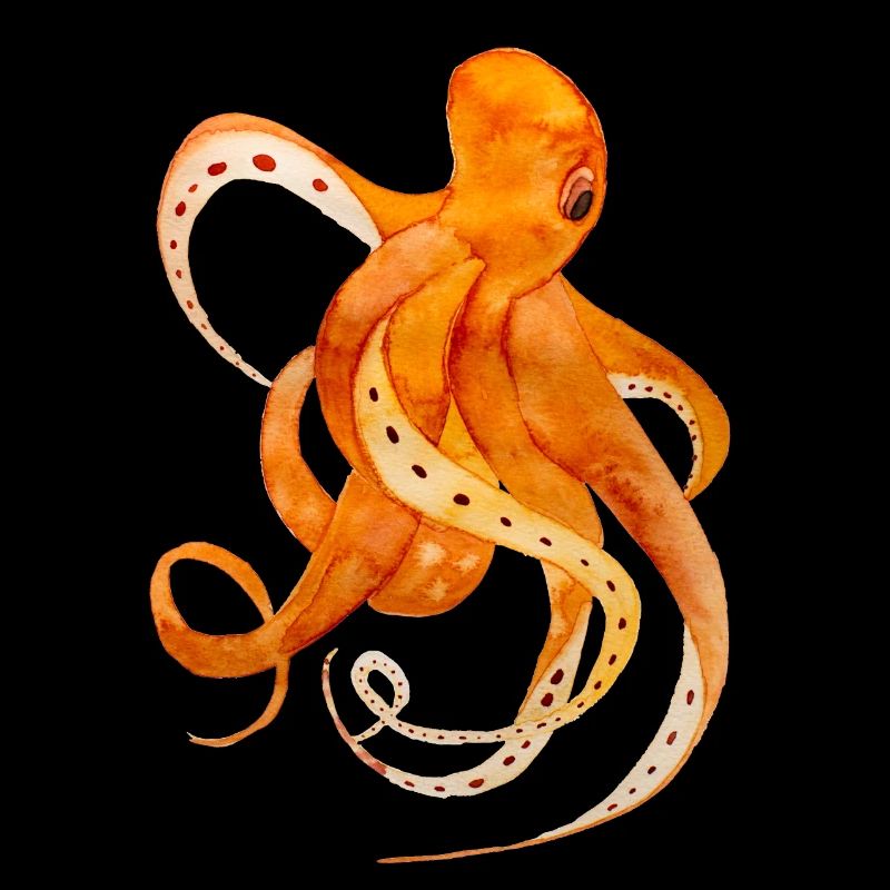 Squid Watercolor Drawing Octopus