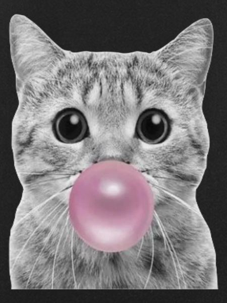 Bubble Cat