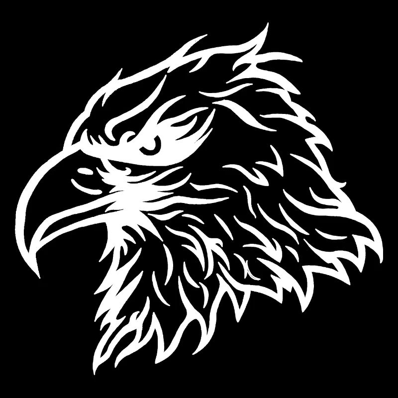 Pygargue à tête blanche cool Aigle