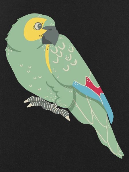 Parrot: Blue-fronted parrot