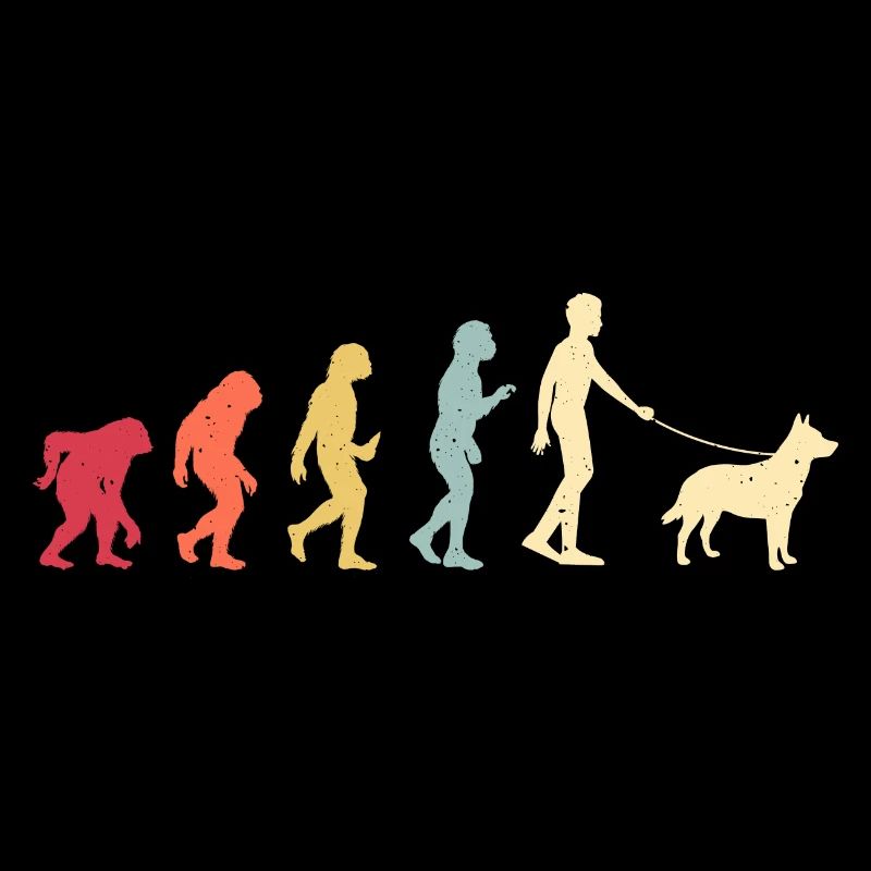 Australian Cattle Dog