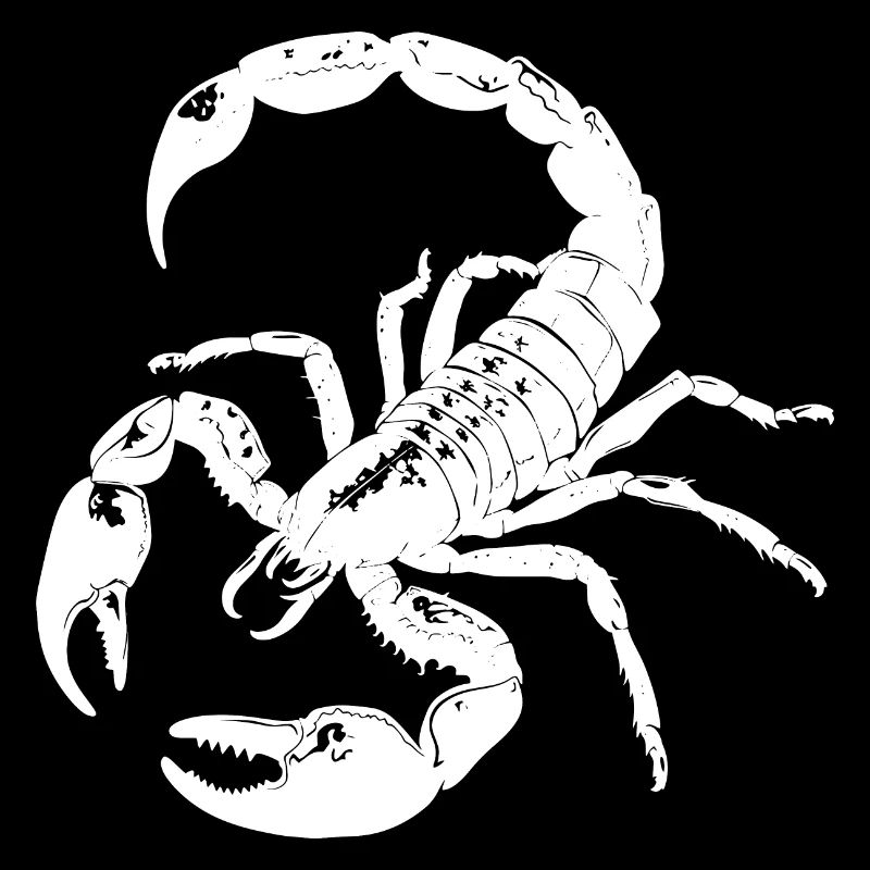 Scorpio, animal, gift