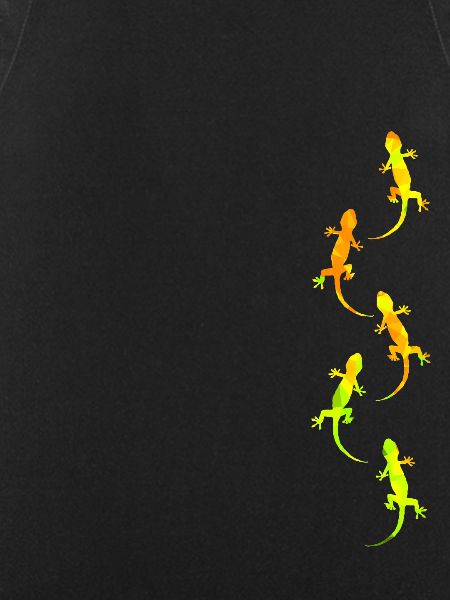 Geckos