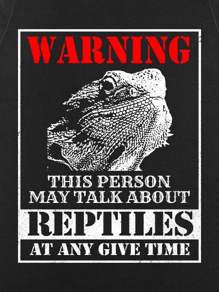 Bearded Dragon