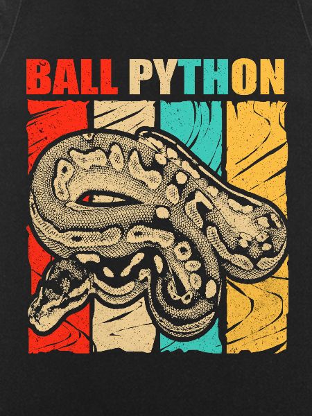 Python