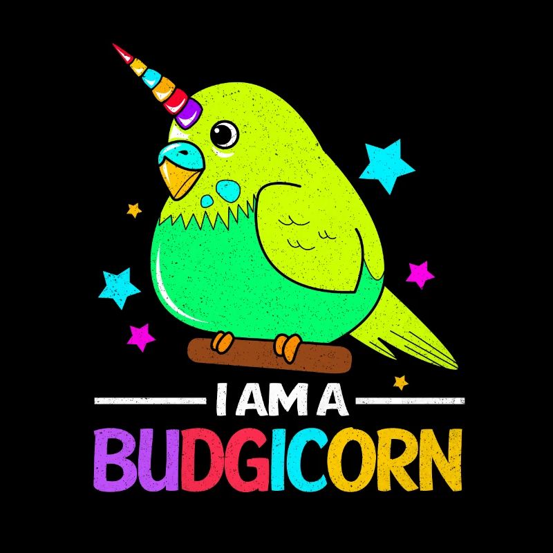 Budgie