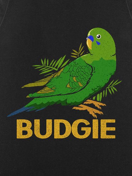 Budgie
