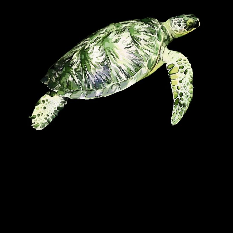 Tortue aquatique