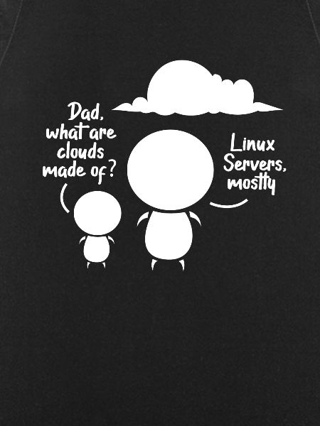 software developer