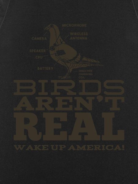 Birds Aren’t Real