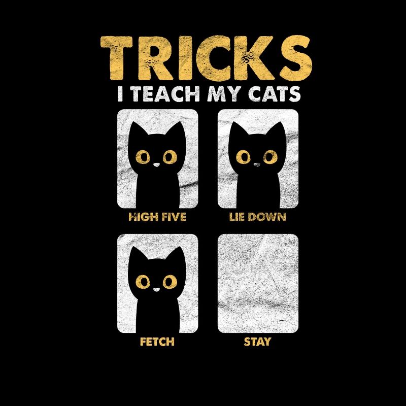 Chats