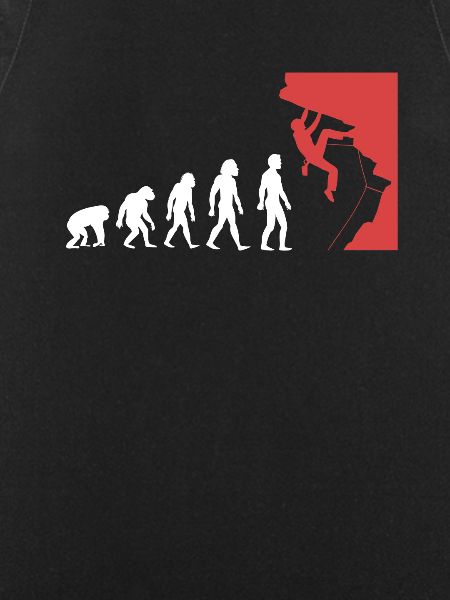 Climbing evolution