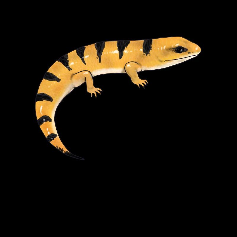 Peters Gebänderter Skink Reptil Eidechse Geschenk