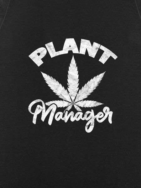 Cannabis
