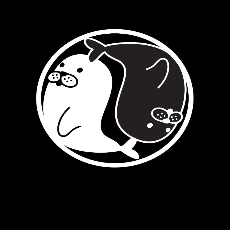 Robben Robbe Seelöwe Seehund