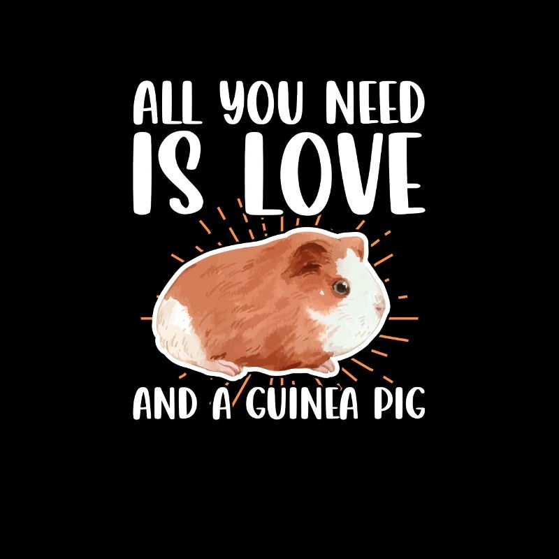 Cochon d’Inde Pet Guinea Pig Cadeau