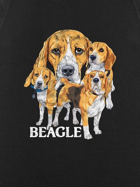 Beagle