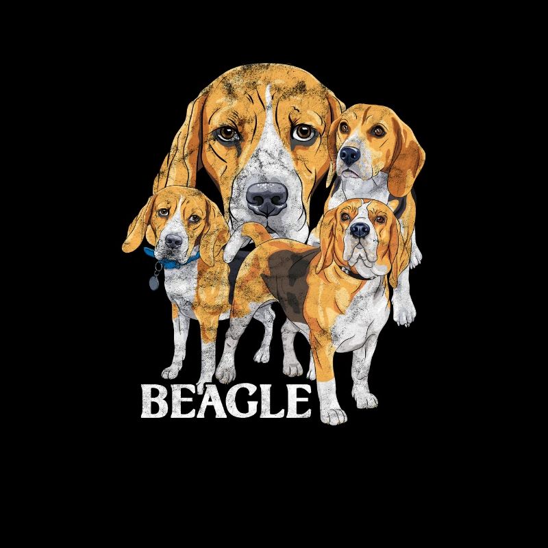 Beagle