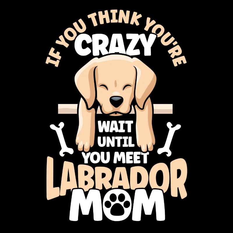 Haustier Labrador Mama Hund Labrador