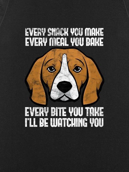 Beagle