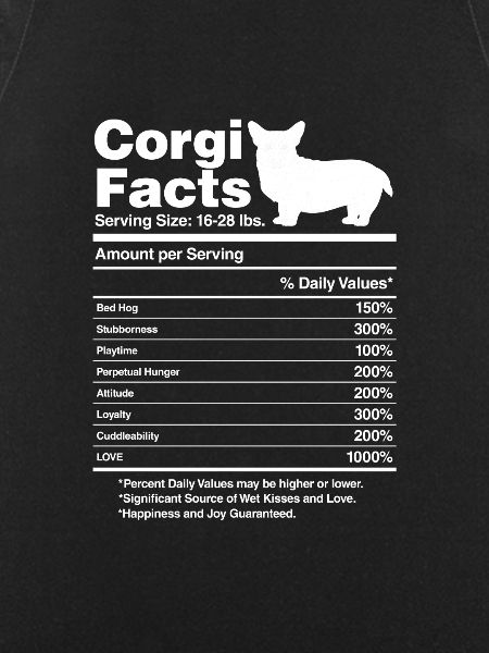 Corgi