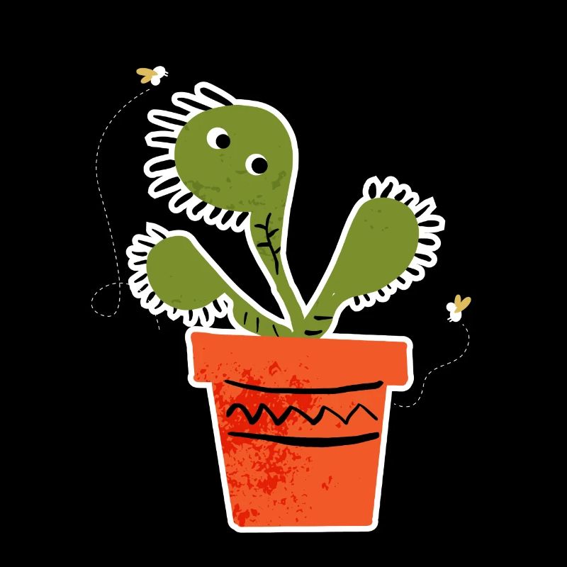 Venus Flytrap Like Flies Plant