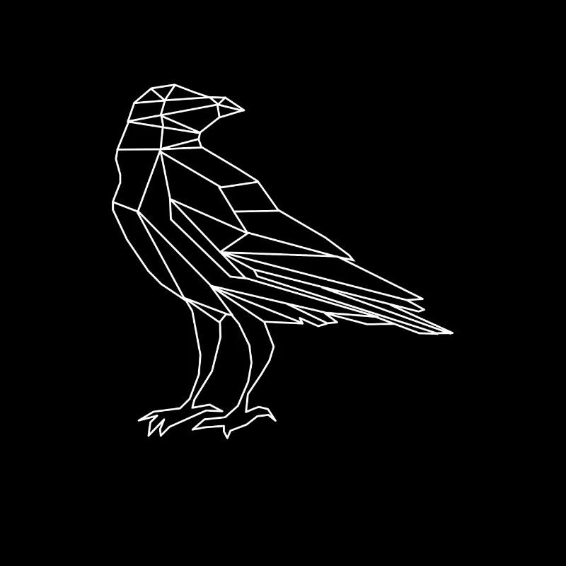Corbeau Corbeau Oiseau Corbeau Oiseaux Nature Corbeau GEschenk