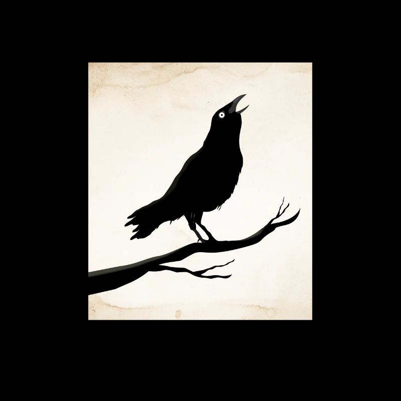 Corbeau Corbeau Oiseau Corbeau Oiseaux Nature Corbeau GEschenk