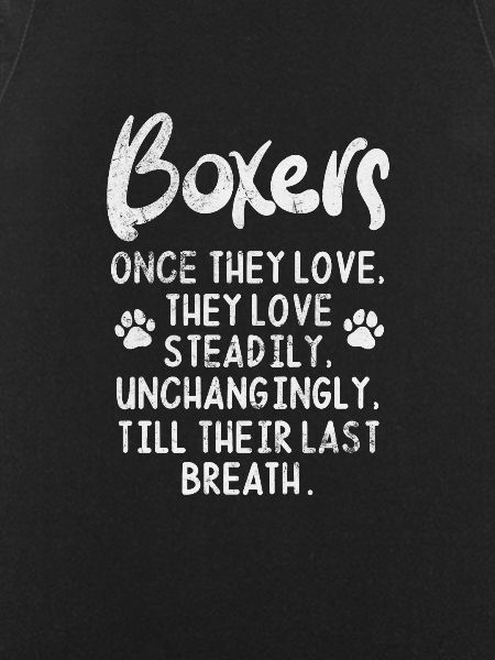 Boxer Dog