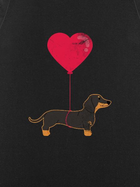 Dachshund