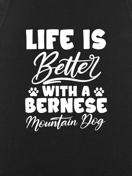 Bouvier bernois