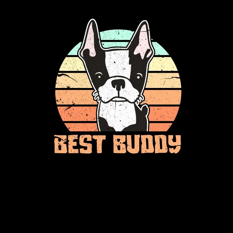 Boston Terrier
