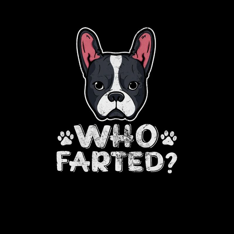 Boston Terrier
