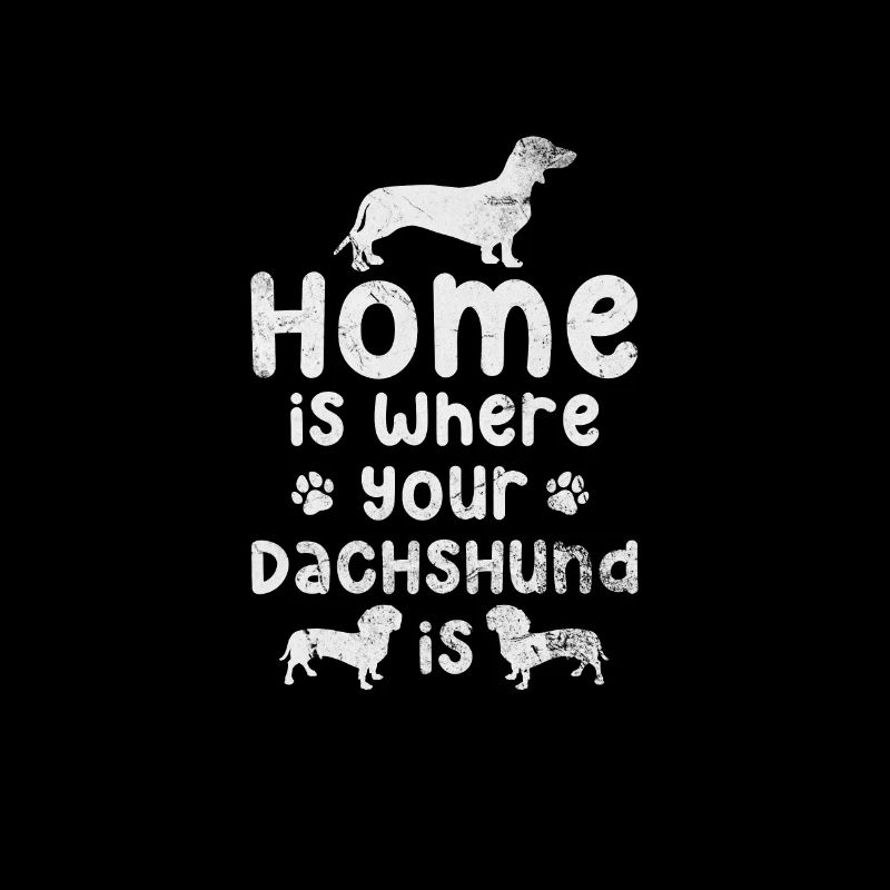 Dachshund