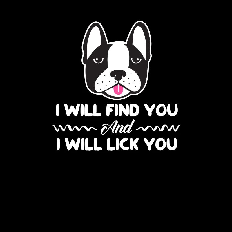 Boston Terrier