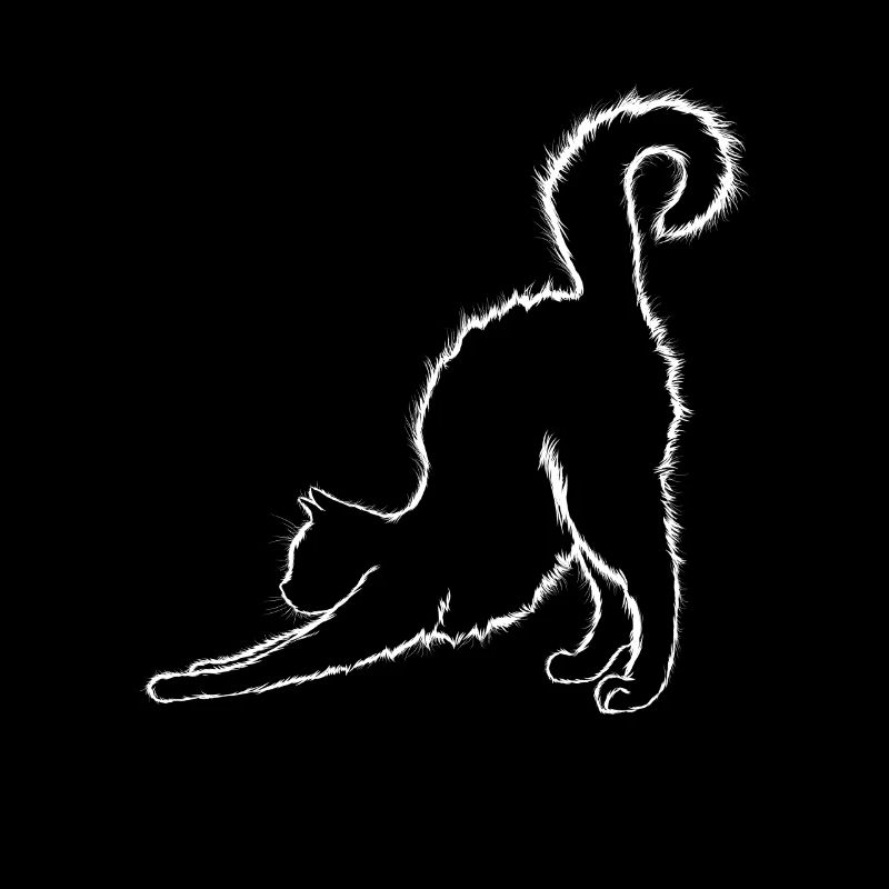 Chats Silhouette Chaton Chat