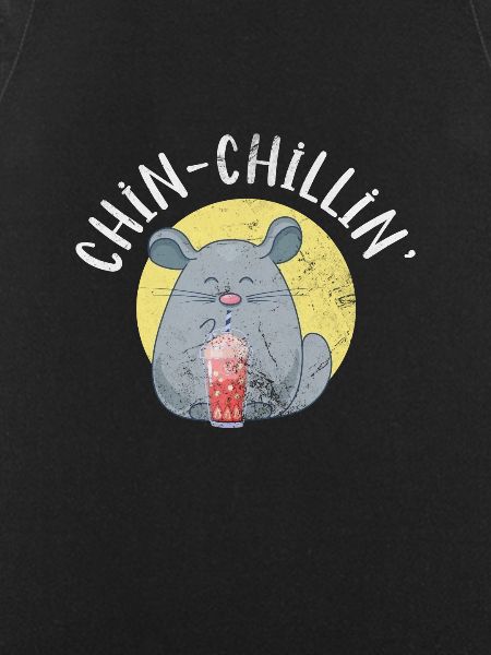 Chinchilla Nagetier Haustier Nager Geschenk