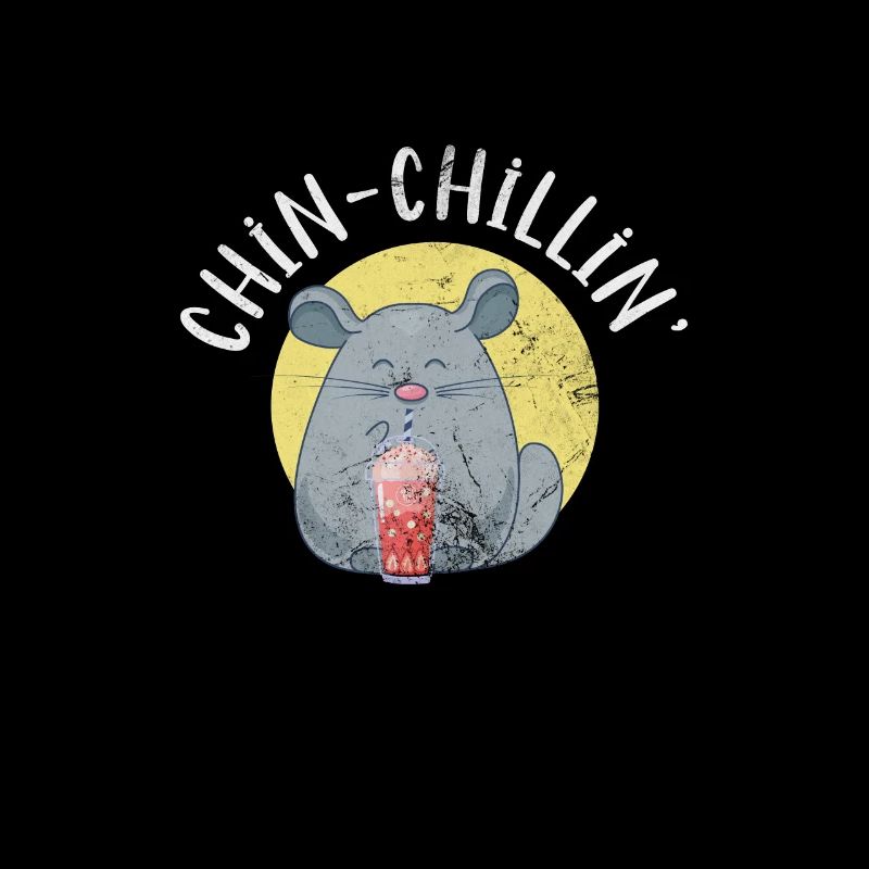 Chinchilla Nagetier Haustier Nager Geschenk