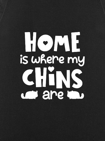 Chinchilla